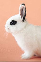 TGA：《茶杯头》最新DLC预告公布 6月30日上线